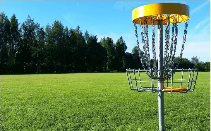 The Impact of Goals in Disc Golf